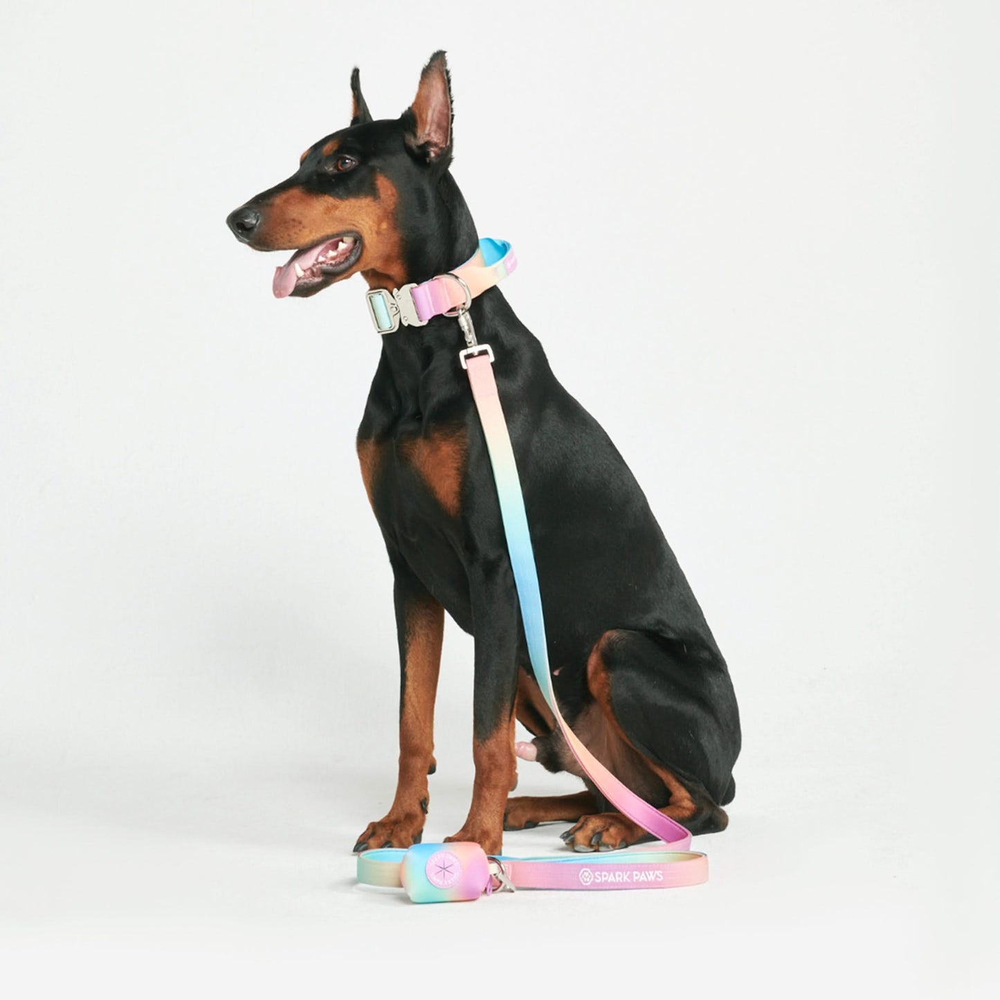 Pastel Icing Collar