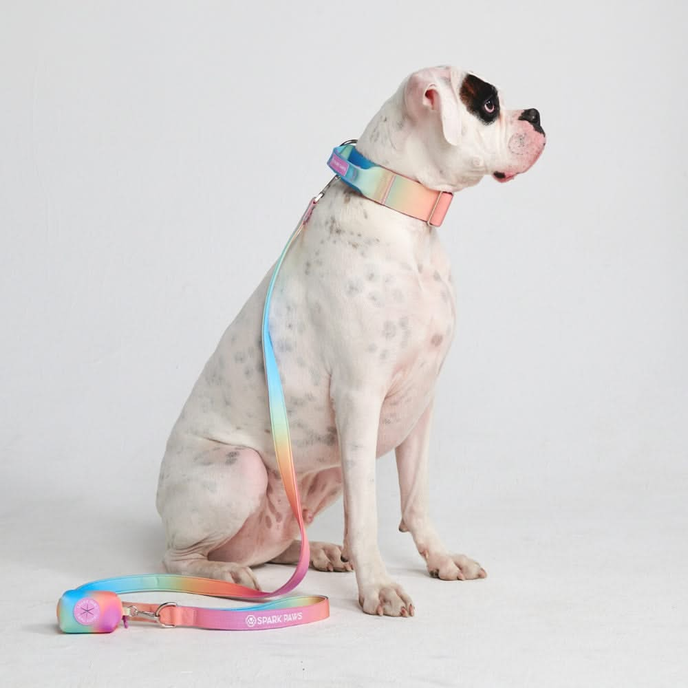 Pastel Icing Collar