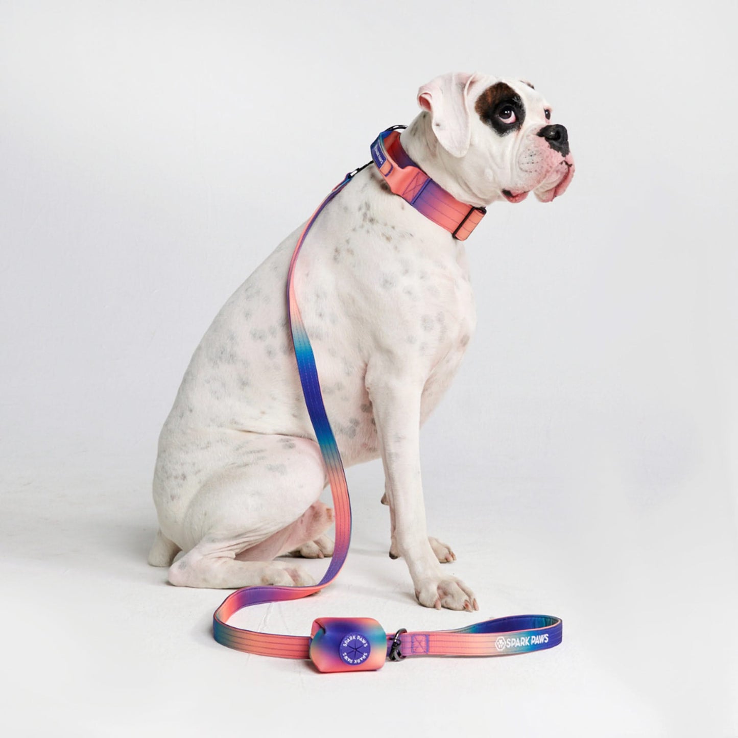 Kaleidoscope Collar