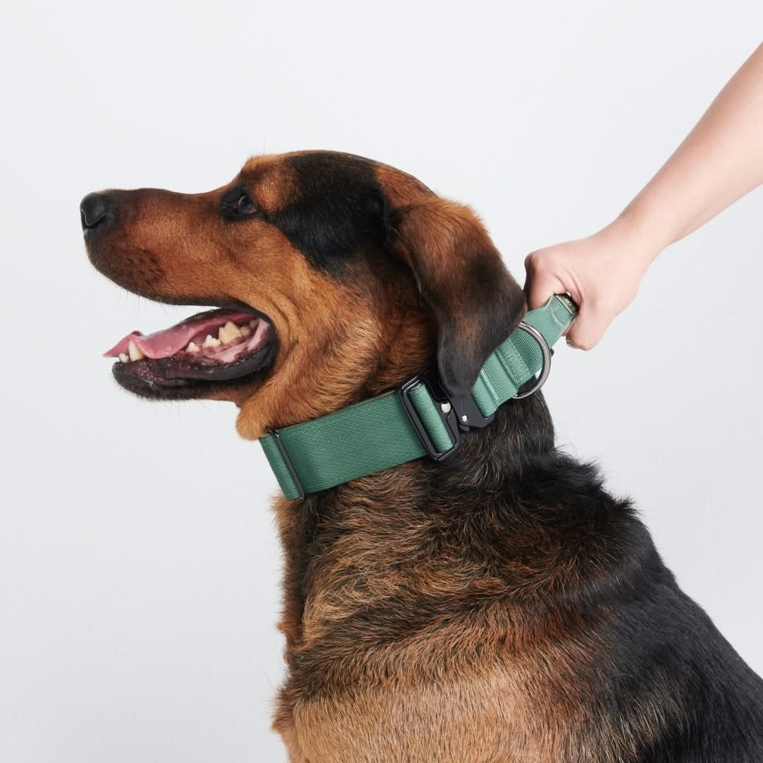 Green Collar