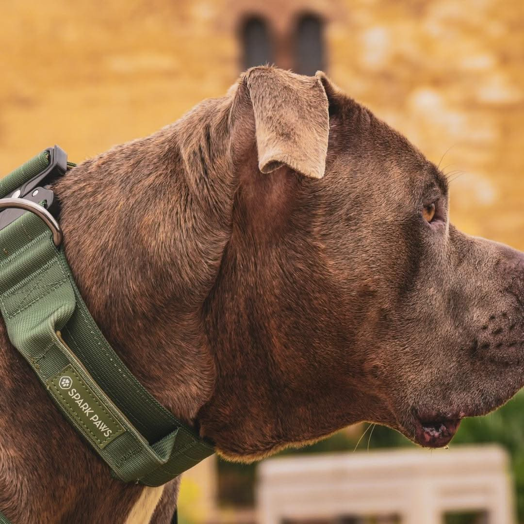 Green Collar