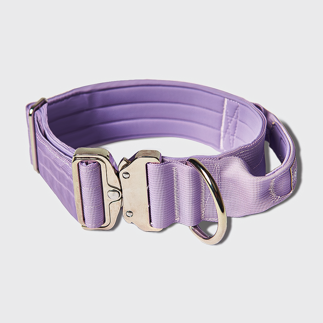 Lilac Collar