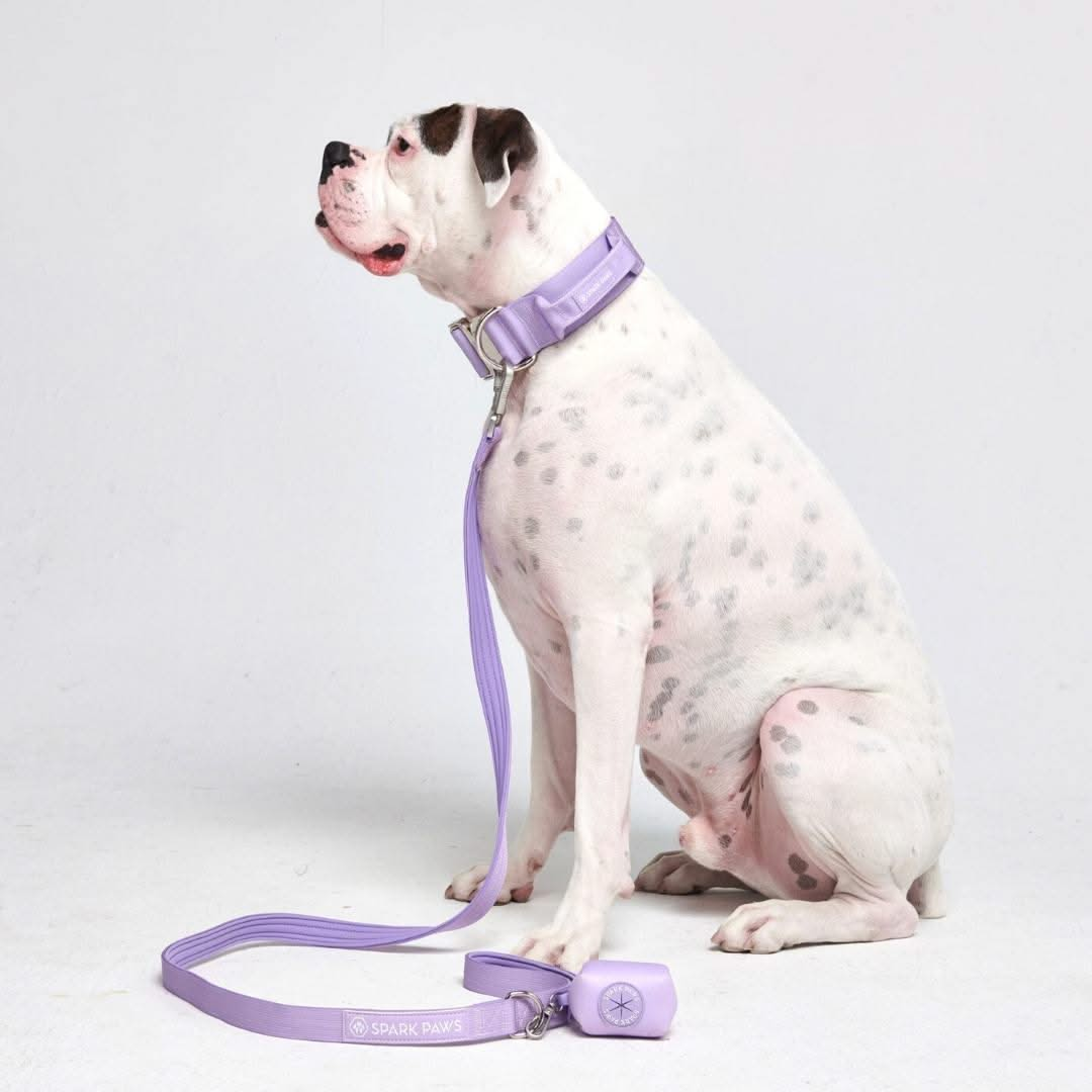 Lilac Collar