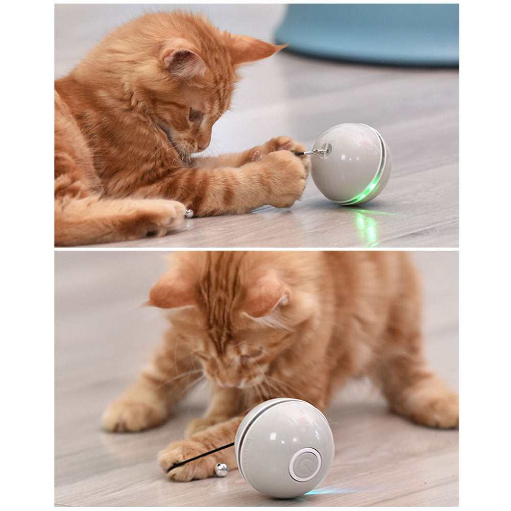 OpulentPaws™ - Colorful LED Laser Funny Cat Ball