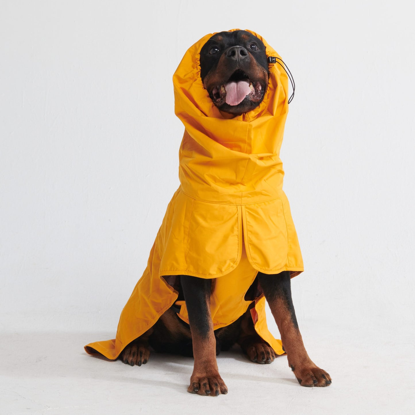 Dog Raincoat - Yellow