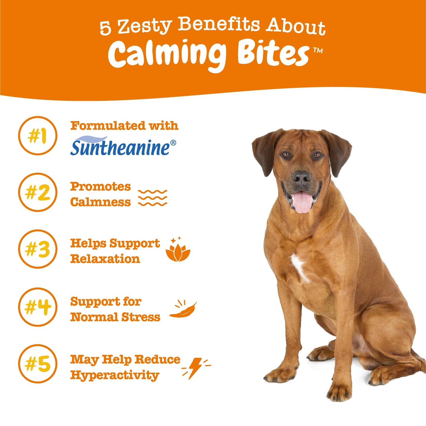 OpulentPaws™ - Calming Bites™ for Dogs