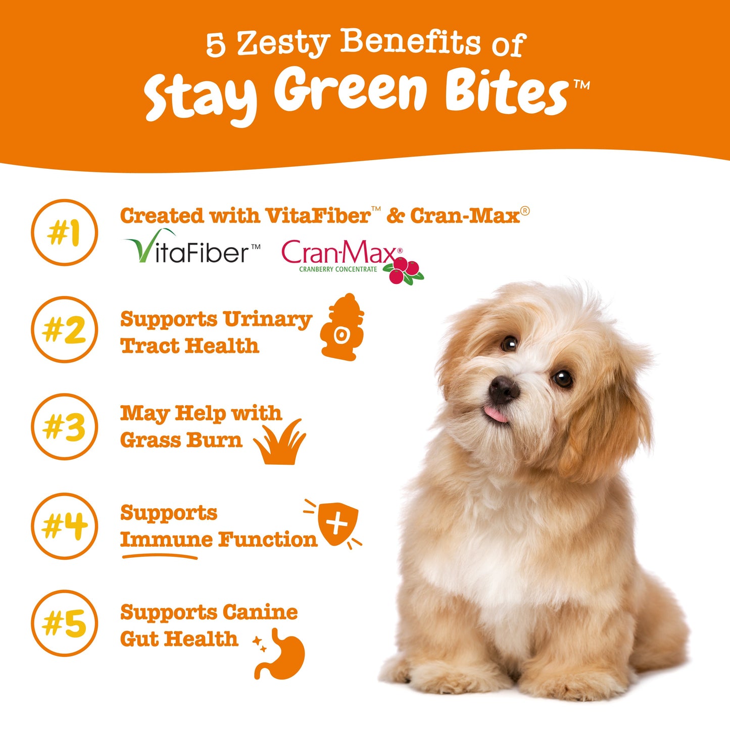 OpulentPaws™ - Stay Green Bites™ for Dogs