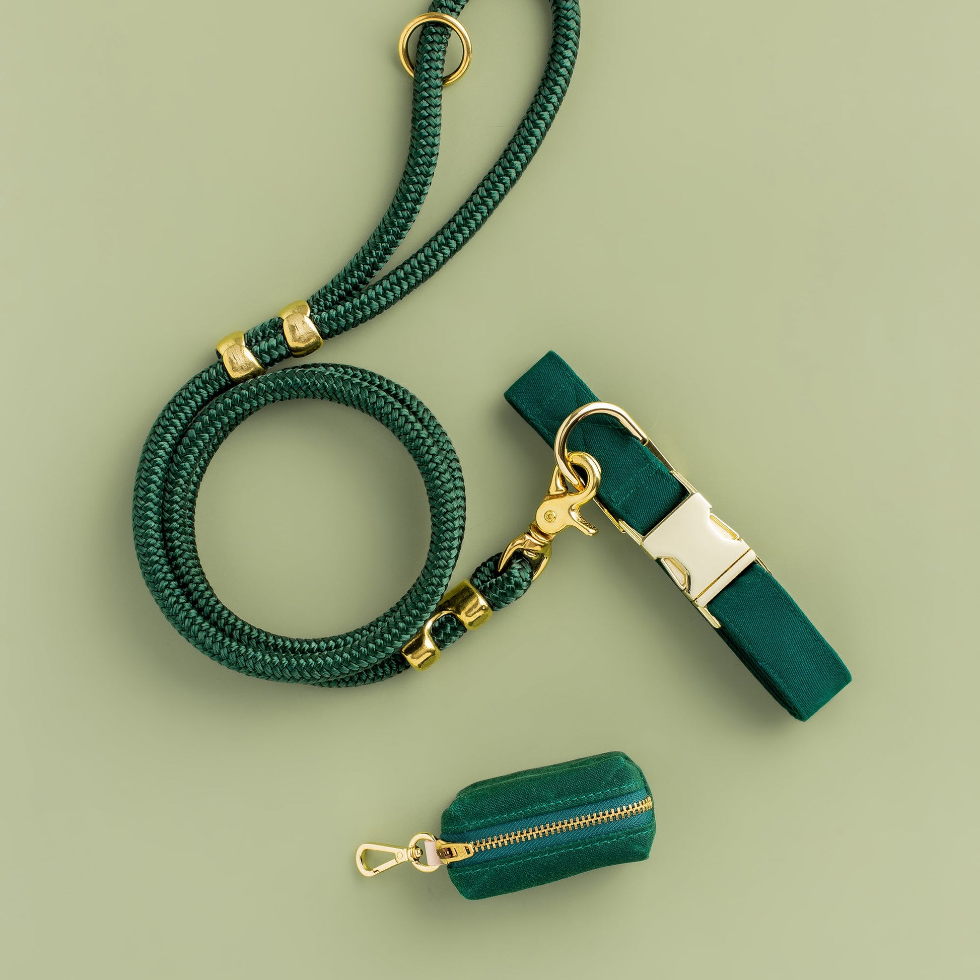 Evergreen Collar Walk Set from The Foggy Dog