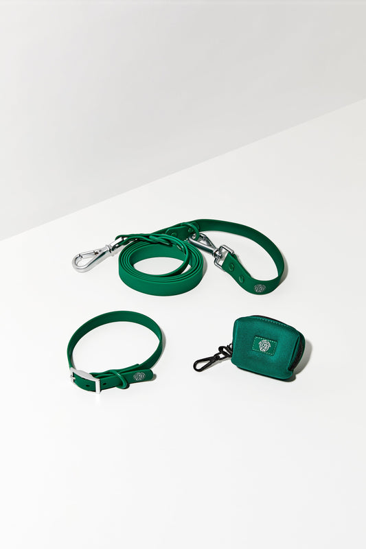 forest green dog collar walk kit#color_forest-green