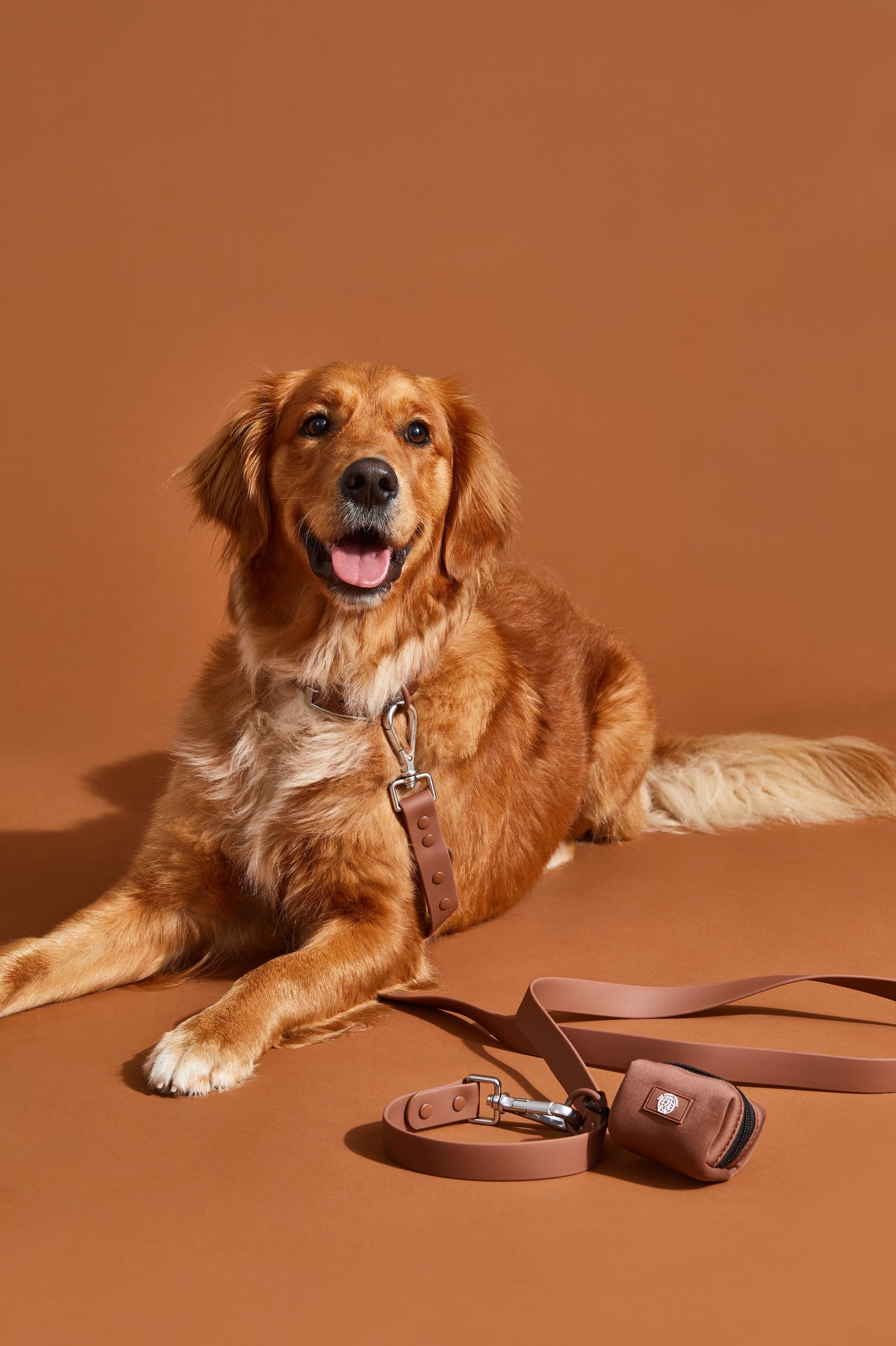 chocolate brown dog collar walk kit#color_chocolate-brown