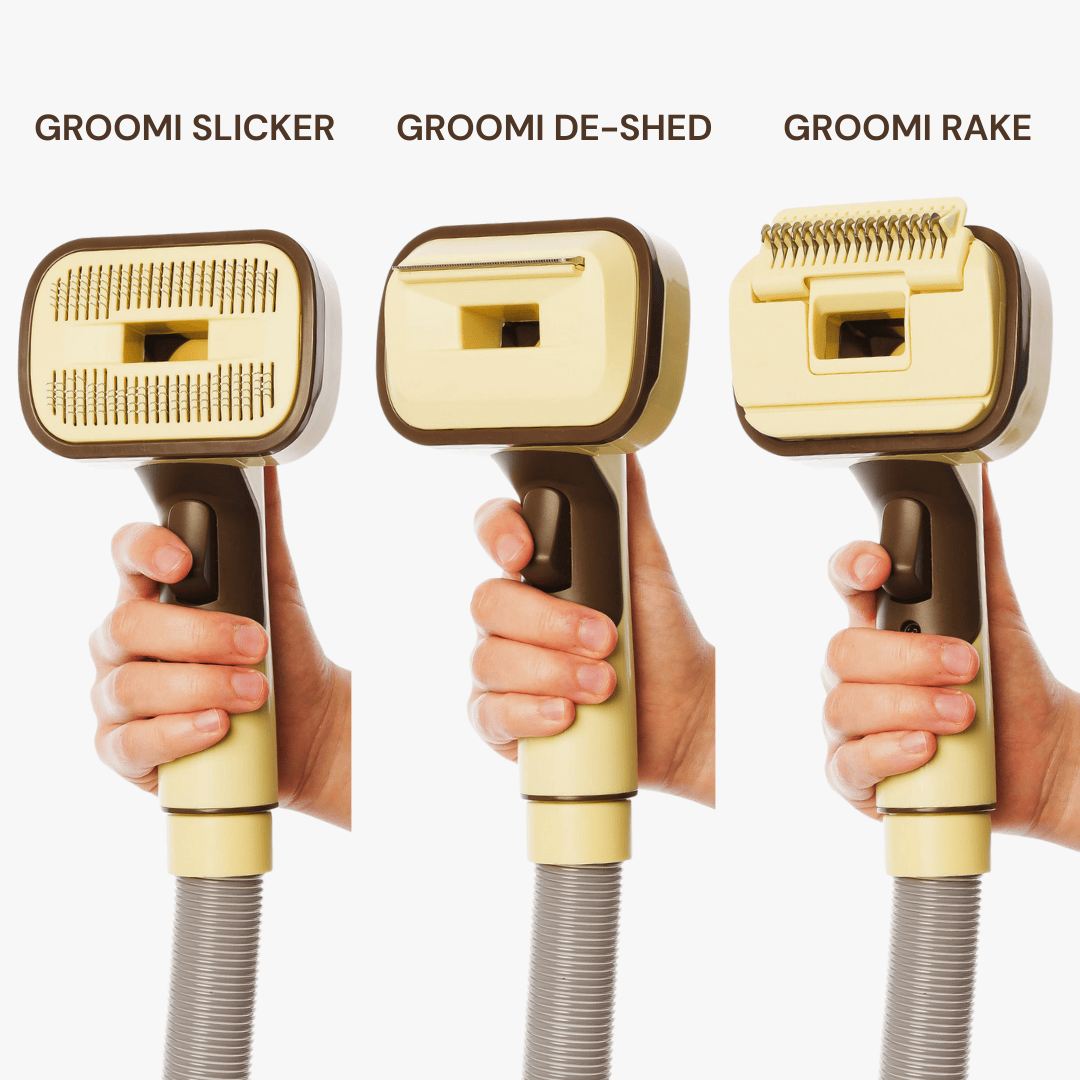 The GROOMI Kit is a quick, mess-free dog grooming brush that connects to vacuums. Ideal for all dog hair types, it features three heads: Slicker, De-Shed, and Rake. This self-cleaning tool captures loose fur efficiently, is allergen-friendly, and perfect for home use. Reduces shedding, saves time, and maintains a clean, fur-free home. Includes a universal vacuum adapter and storage bag, making grooming simple and effective for any dog breed.