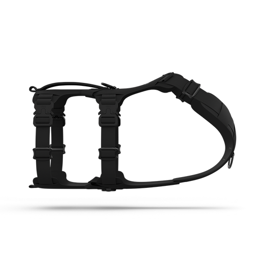 Main view of the Muse™ harness in Black color