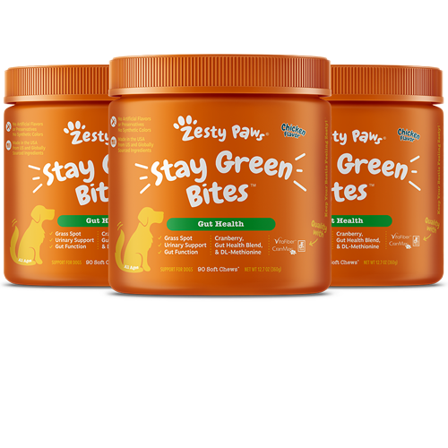 OpulentPaws™ - Stay Green Bites™ for Dogs