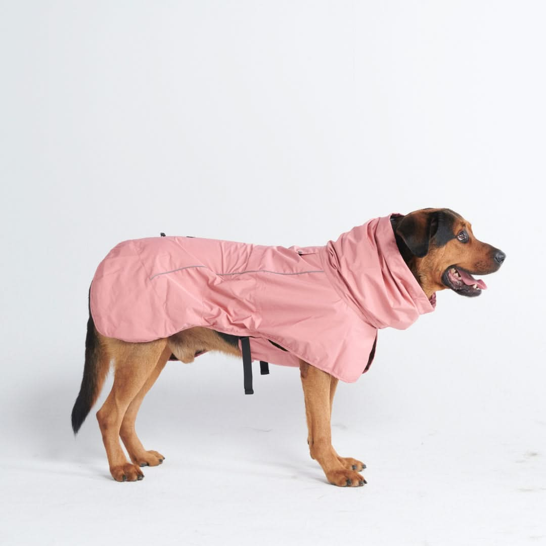 Dog Raincoat - Pink