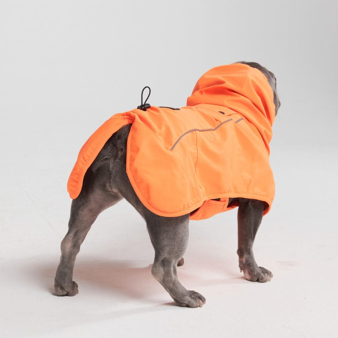 Dog Raincoat - Orange