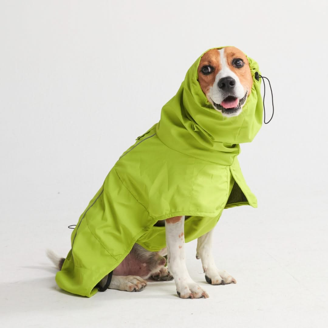 Dog Raincoat - Lime Green